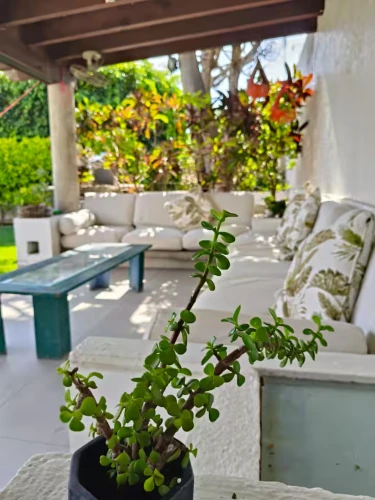 Terraza